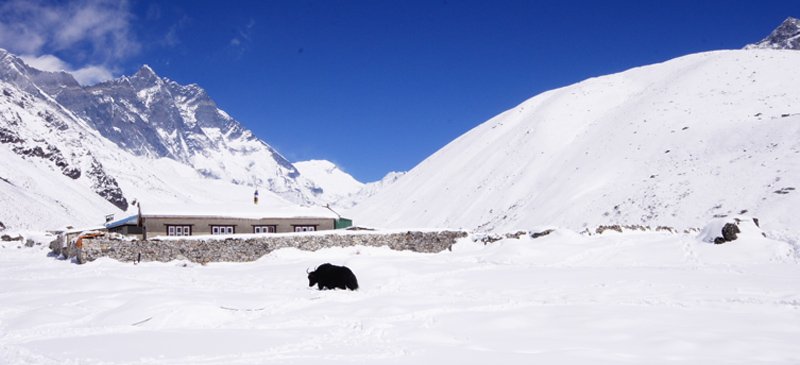 dingboche.jpg