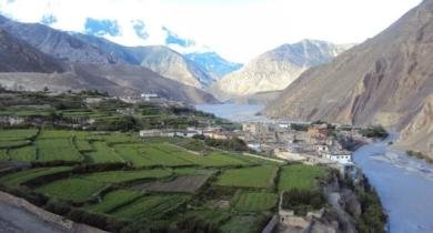 trekking-mustang 