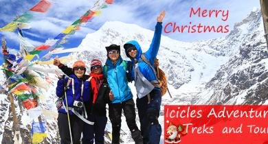 Merry Christmas 2015