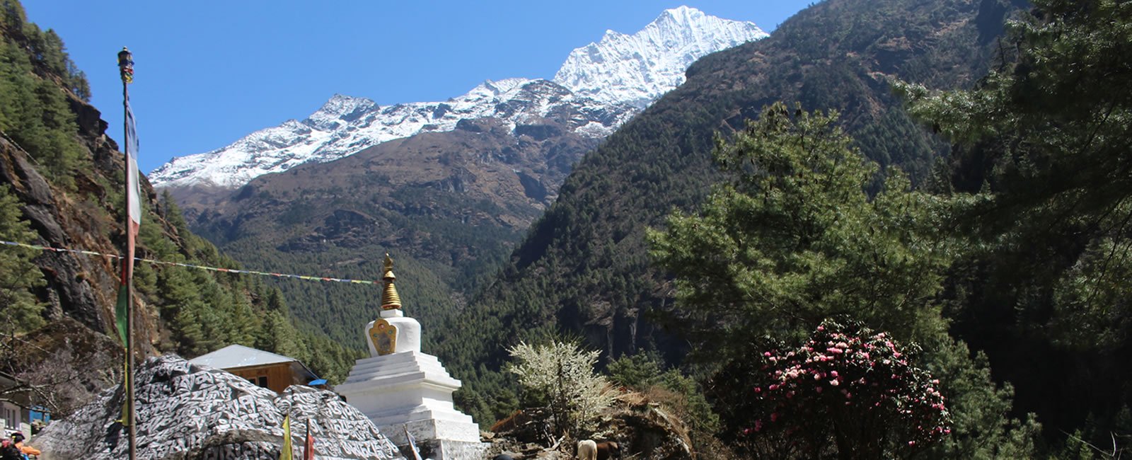 everest-view-trekking 