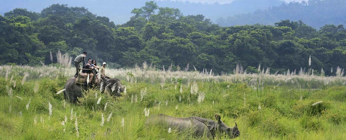 jungle-safari-nepal