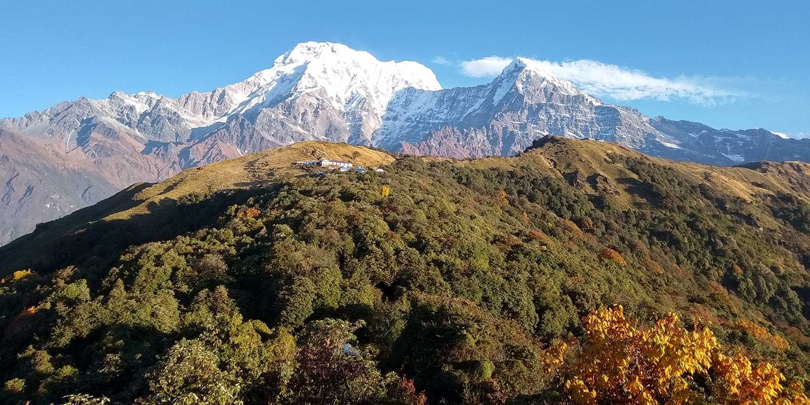 mardi-himal-trek 