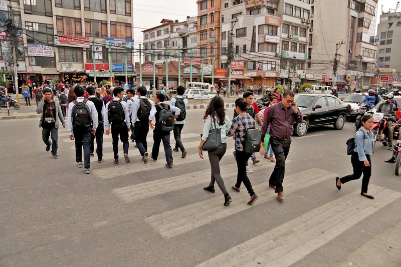 zebra-crossing.jpg