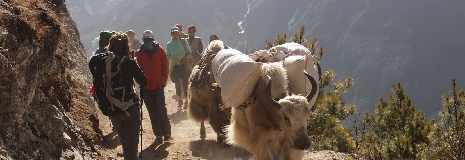 luxury-trek-in-nepal 